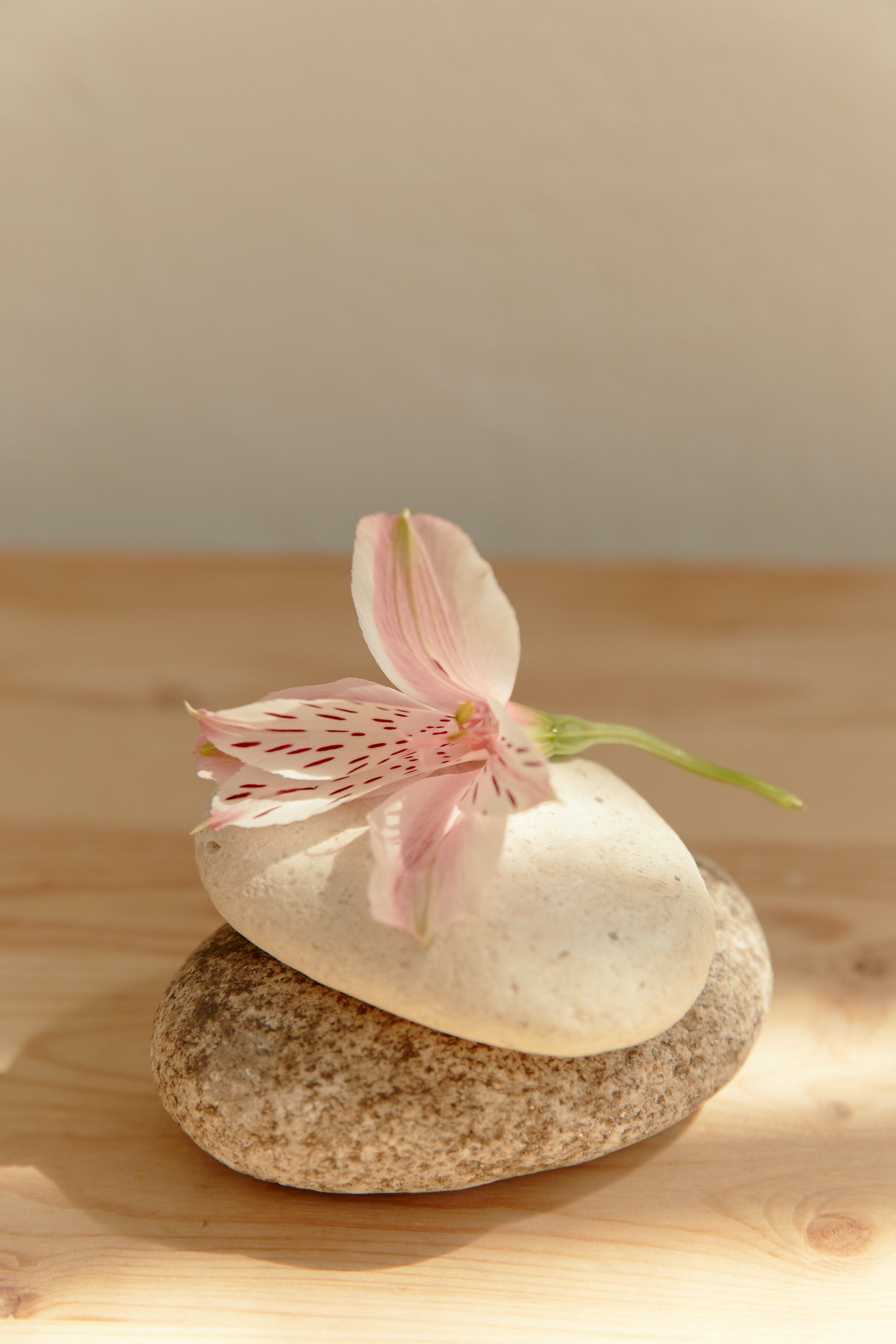 Massage Cellulite à Aix-en-Provence aide à éliminer les toxines du corps
